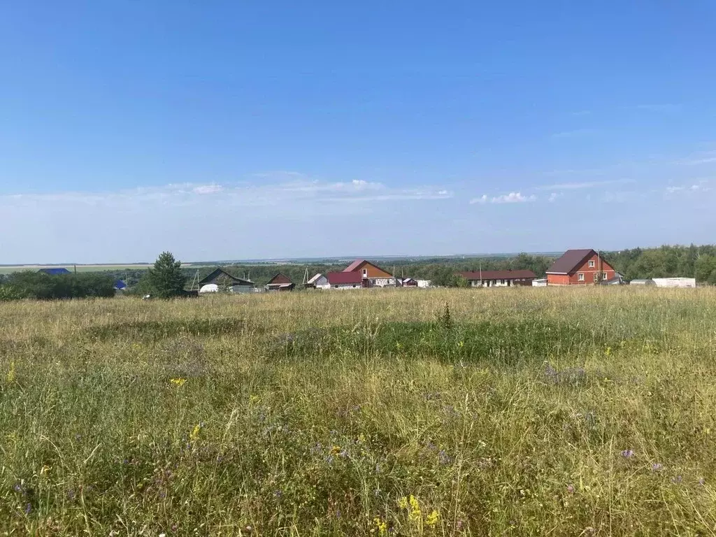 Участок в Пензенская область, Мокшан рп ул. Северная, 25 (20.0 сот.) - Фото 1