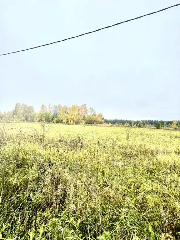 Участок, 30 сот., 0 - Фото 1