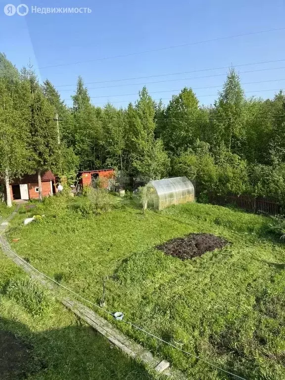 Дом в Архангельская область, Приморский муниципальный округ, СНТ Борок ... - Фото 1