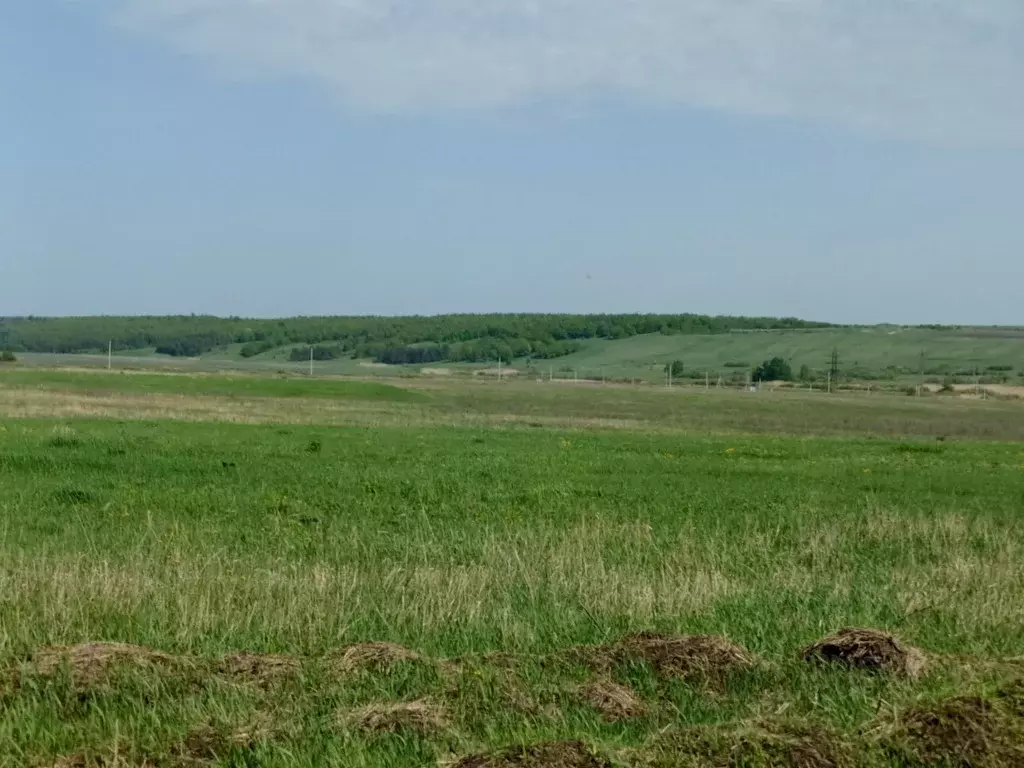 Участок в Саратовская область, Татищево рп  (10.0 сот.) - Фото 1