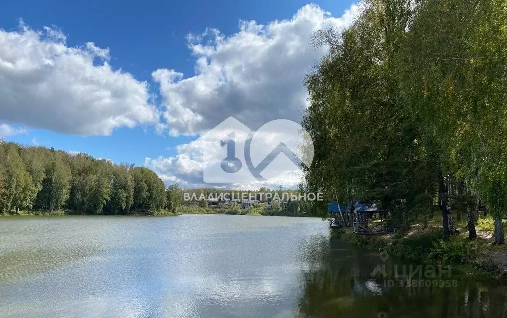 3-к кв. Новосибирская область, Новосибирский район, Барышевский ... - Фото 0