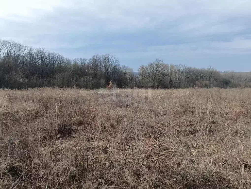 Участок в Курская область, Курский район, Моковский сельсовет, д. ... - Фото 1