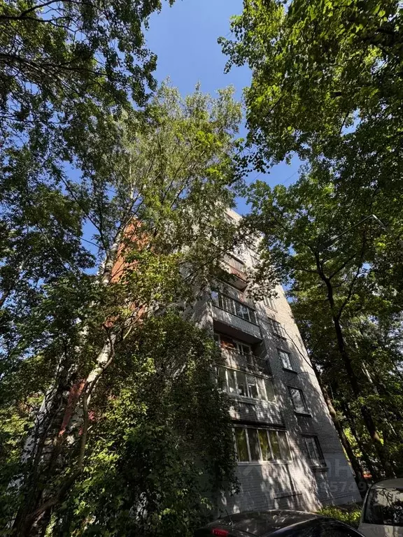 3-к кв. Санкт-Петербург Железноводская ул., 48 (56.2 м) - Фото 2