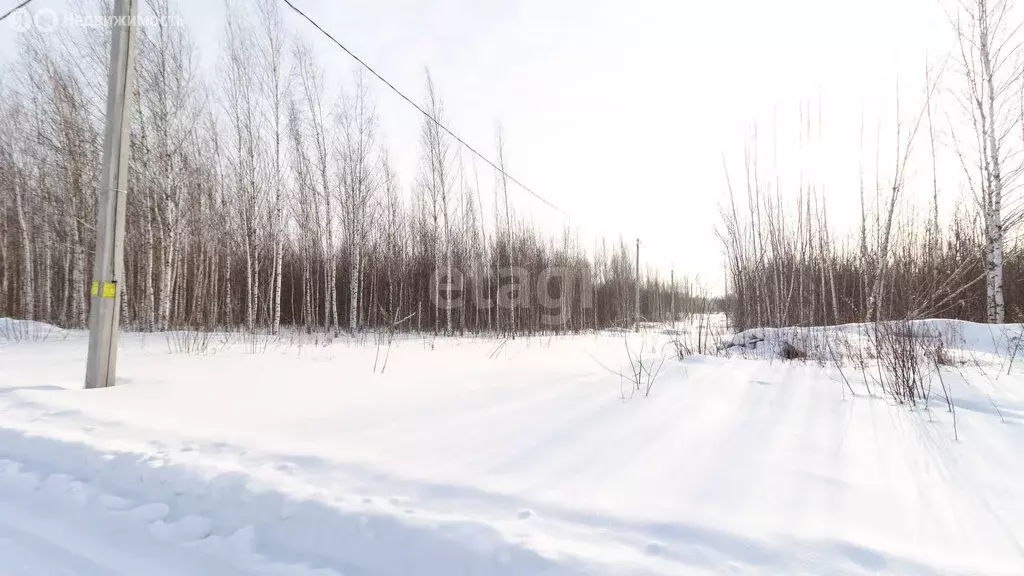 Участок в Томск, переулок Заботы (10.7 м) - Фото 0