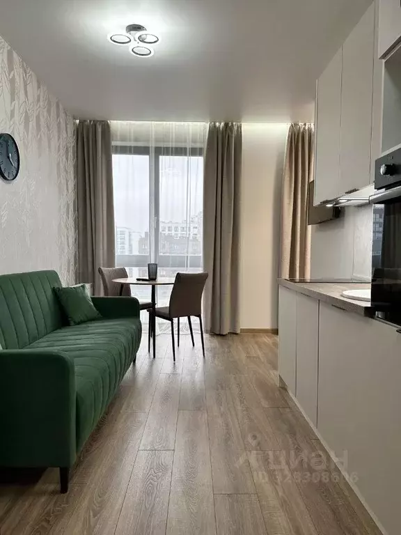 Студия Санкт-Петербург просп. Энгельса, 31 (27.1 м) - Фото 2