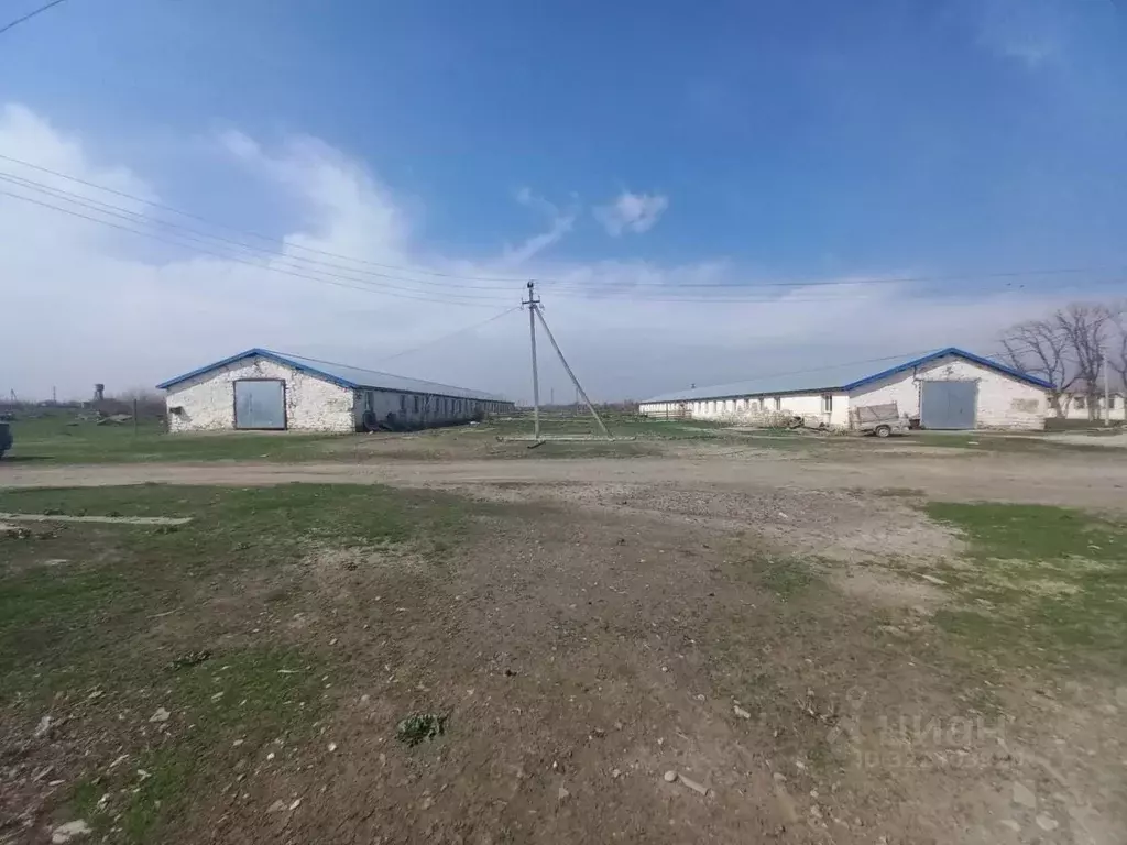 Помещение свободного назначения в Кабардино-Балкария, Прохладненский ... - Фото 1