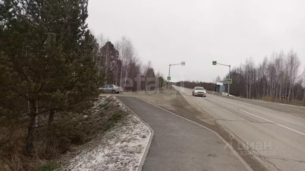 Участок в Тюменская область, Тюменский муниципальный округ, ... - Фото 2