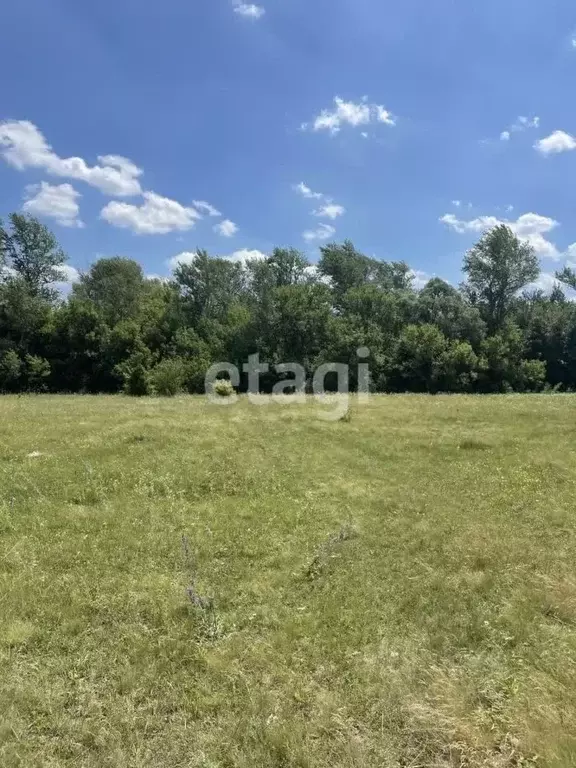 Участок в Белгородская область, Старооскольский городской округ, ... - Фото 1