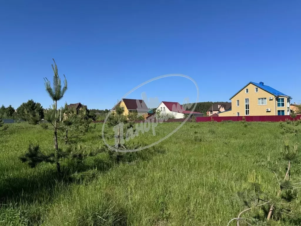 Участок в Калужская область, Дзержинский район, Дворцы с/пос, с. Учхоз ... - Фото 2