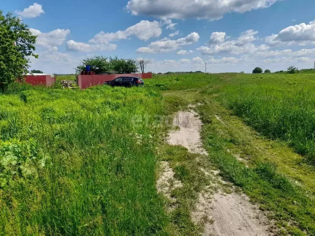 Участок в Брянская область, Брянский район, Чернетовское с/пос, д. ... - Фото 2