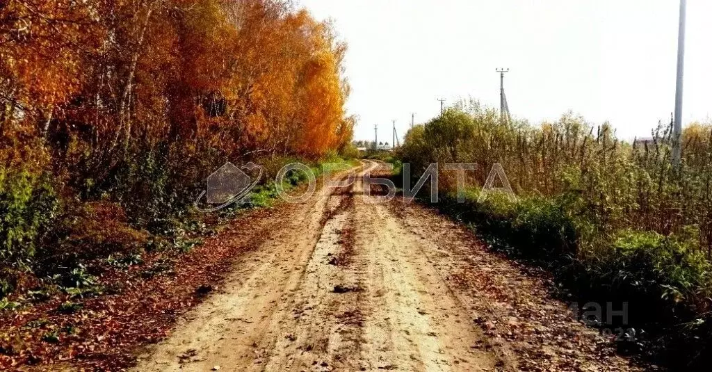 Участок в Тюменская область, Тюмень Поле Чудес садовое товарищество, ... - Фото 1
