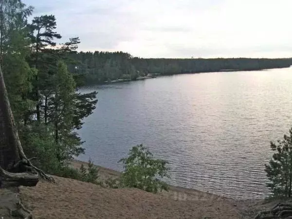 Участок в Ленинградская область, Выборгский район, Первомайское с/пос, ... - Фото 1