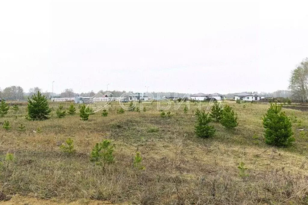 Участок в Тюменская область, Тюменский муниципальный округ, с. Кулига  ... - Фото 2