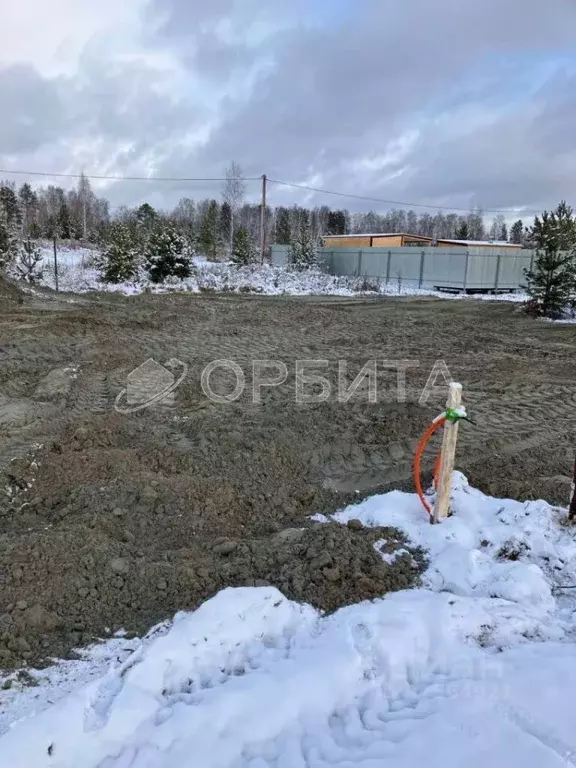 Участок в Новгородская область, Новгородский район, Трубичинское ... - Фото 0