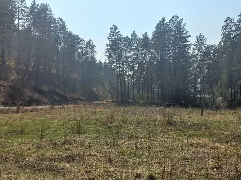 Участок в Алтай, Майминский район, с. Манжерок Ленинская ул. (10.0 ... - Фото 2