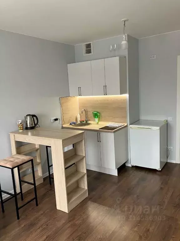 Студия Санкт-Петербург ул. Пейзажная, 24к2 (22.0 м) - Фото 2