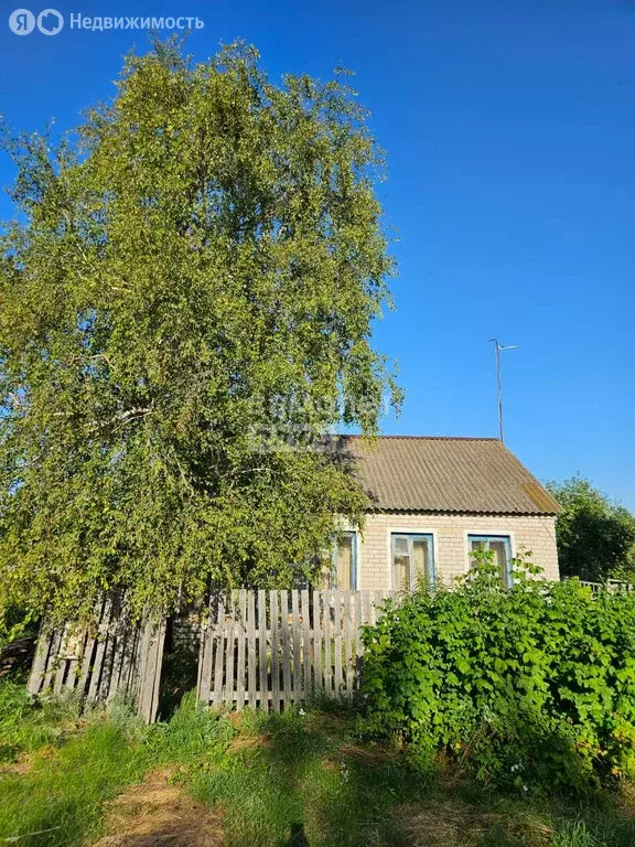 Дом в Усманский район, село Пластинки, Снежковская улица, 9 (48.5 м) - Фото 0