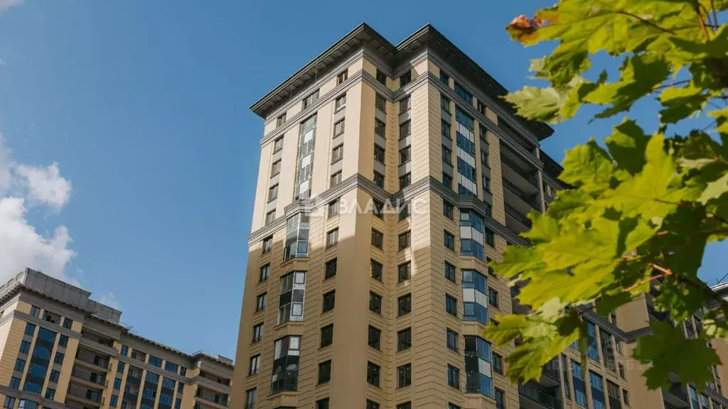 3-к кв. Санкт-Петербург ул. Дыбенко, 3 (86.1 м) - Фото 1