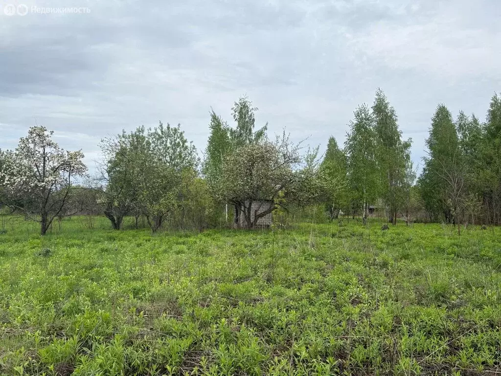 Участок в Железногорск, СДТ Горняк, зона Рясник (6 м) - Фото 2