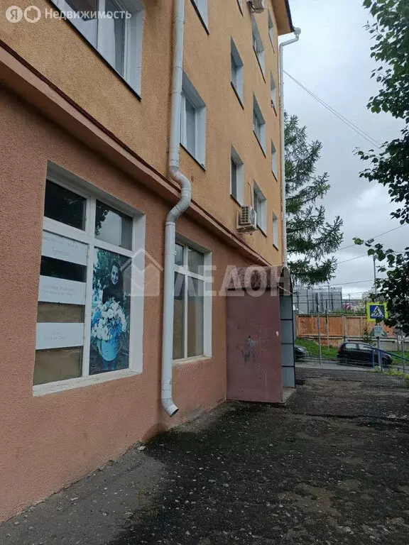 Офис (146.2 м) - Фото 1