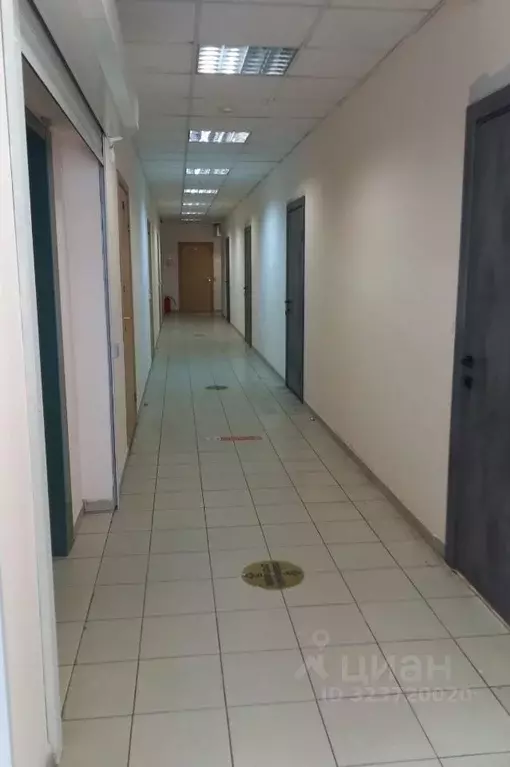 Офис в Москва ул. Радио, 14АС2 (36 м) - Фото 2