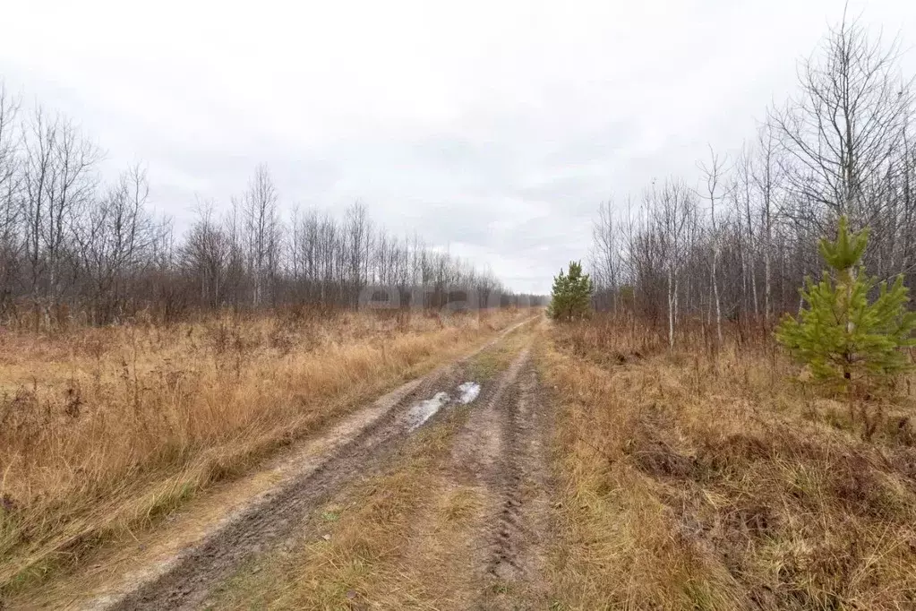 Участок в Тюменская область, Нижнетавдинский муниципальный округ, ... - Фото 1