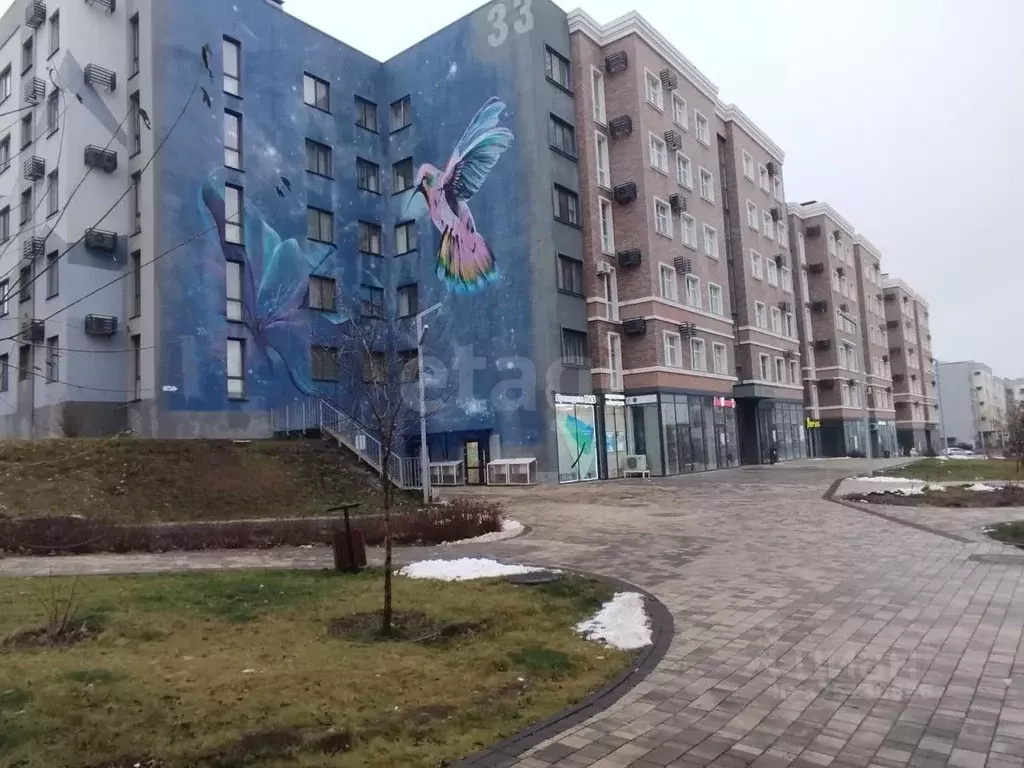 1-к кв. Белгородская область, Белгород ул. Семейная, 33 (28.0 м) - Фото 1