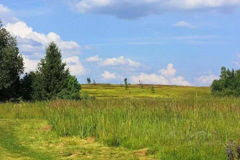 Участок в Московская область, Клин городской округ, д. Коськово  (15.0 ... - Фото 0