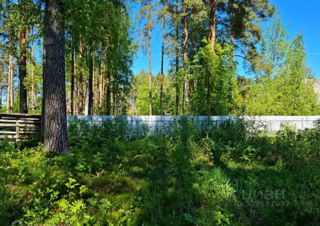 Участок в Ленинградская область, Гатчинский район, Вырица городской ... - Фото 0