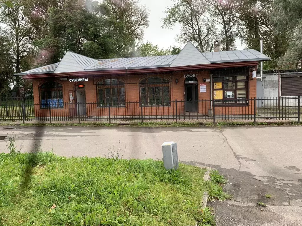 Торговая площадь в Псковская область, Псков Вокзальная ул., 21Б (214 ... - Фото 1