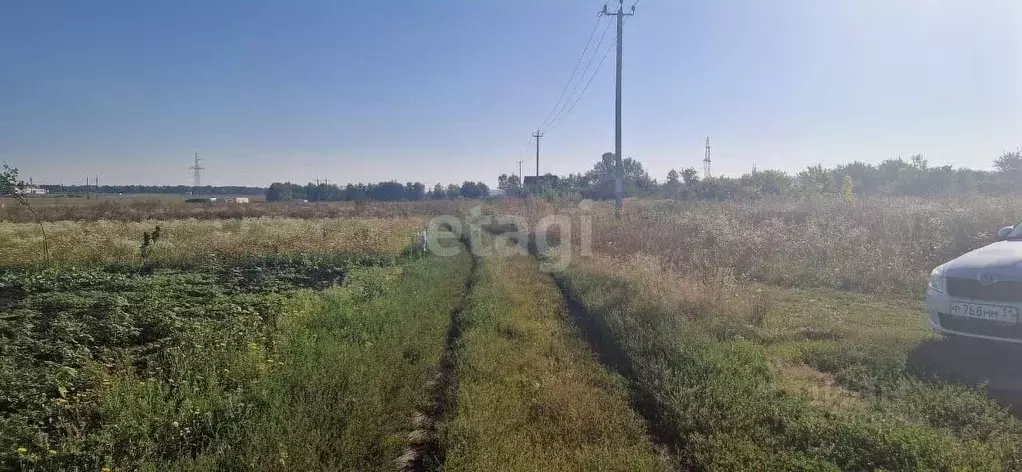 Участок в Белгородская область, Белгородский район, Поселок Разумное ... - Фото 0