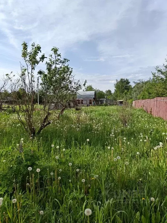 Участок в Московская область, Павлово-Посадский городской округ, д. ... - Фото 1