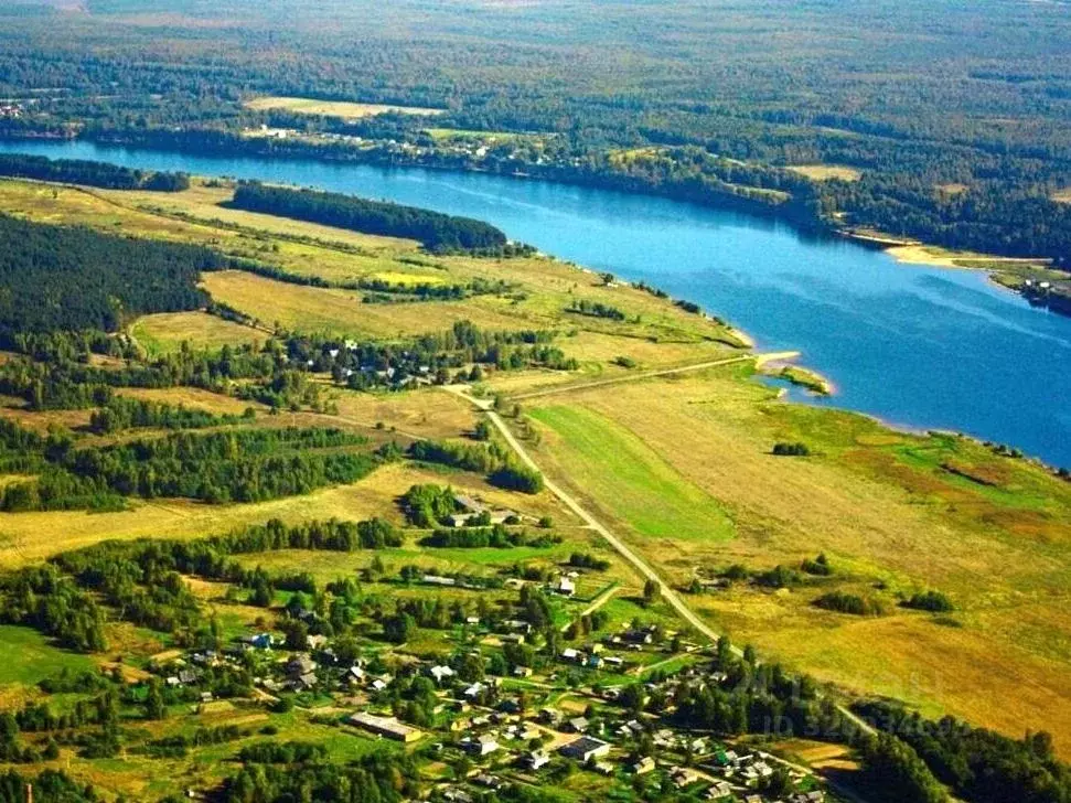 Участок в Ярославская область, Угличский муниципальный округ, д. ... - Фото 2