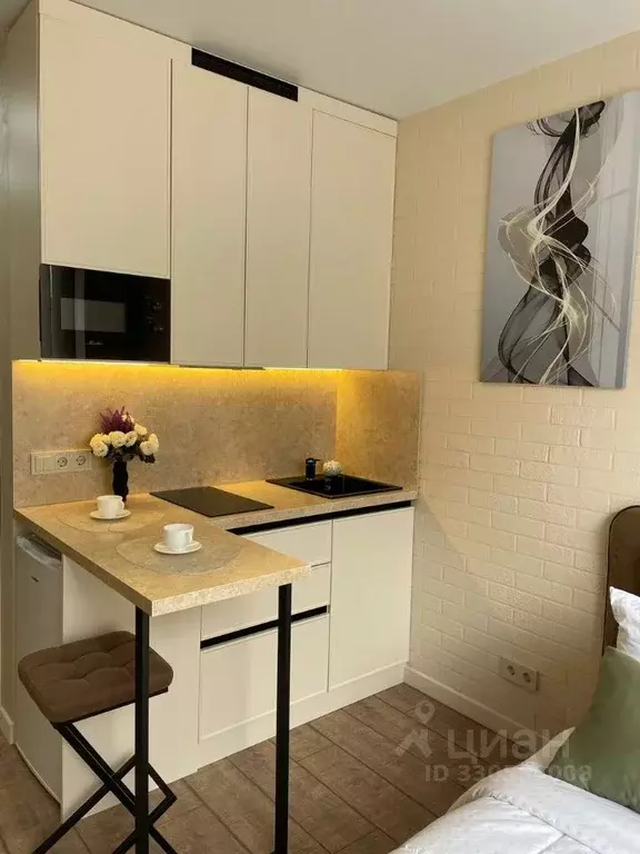 Студия Москва Березовая аллея, 19к6 (17.3 м) - Фото 2