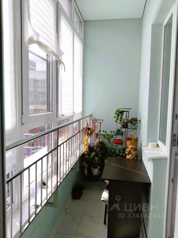 1-к кв. Краснодарский край, Краснодар ул. Ивана Беличенко, 89 (34.5 м) - Фото 2