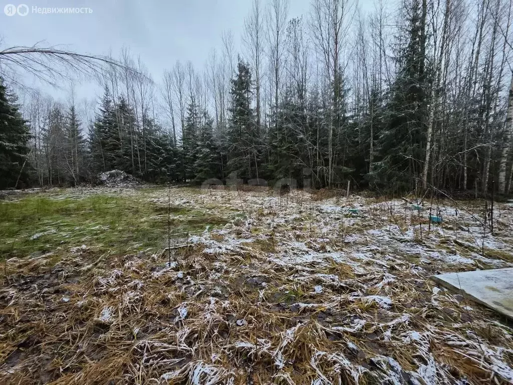 Участок в Кусинское сельское поселение, садоводческое некоммерческое ... - Фото 2