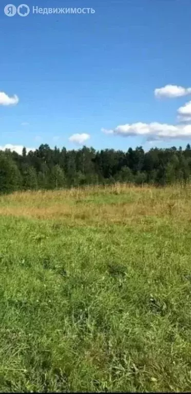 Участок в Тверская область, Калининский муниципальный округ, село ... - Фото 2