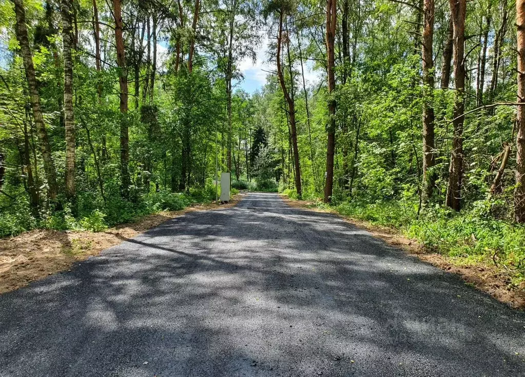 Участок в Московская область, Балашиха городской округ, д. ... - Фото 1