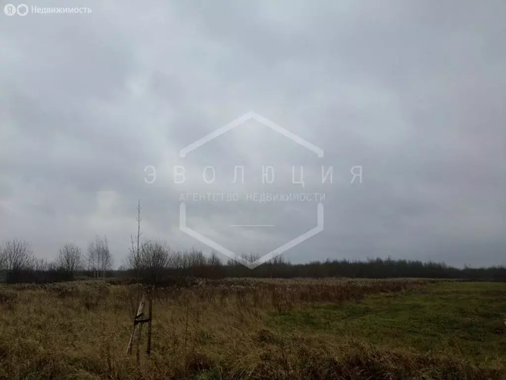 Участок в Калининградская область, Зеленоградский муниципальный округ, ... - Фото 1