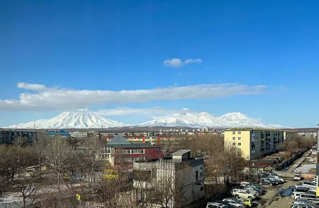 1-к кв. Камчатский край, Петропавловск-Камчатский ул. Тушканова, 8/1 ... - Фото 1