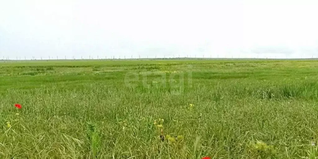 Участок в Крым, Феодосия муниципальный округ, с. Степное ул. Прудная ... - Фото 0
