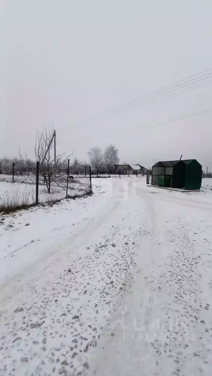 Участок в Владимирская область, Муром с. Борисово, ул. Октябрьская, 28 ... - Фото 0