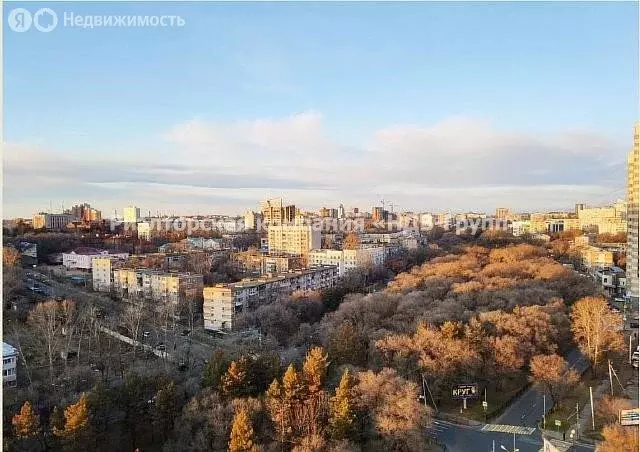 2-комнатная квартира: Хабаровск, Амурский бульвар, 18 (50 м) - Фото 0