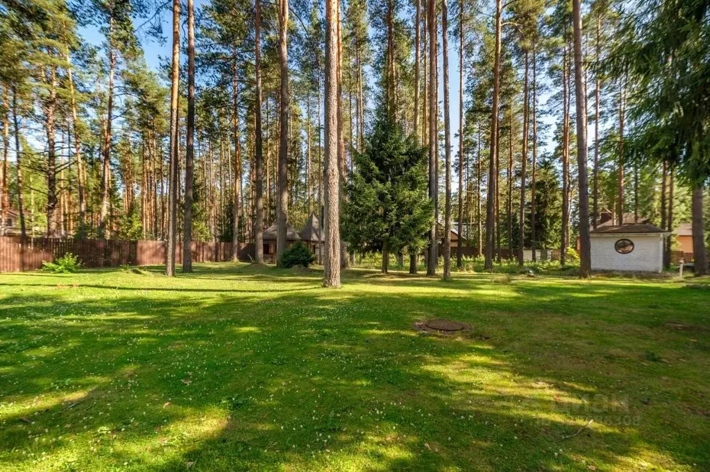 Участок в Ленинградская область, Всеволожский район, Сертоловское ... - Фото 2