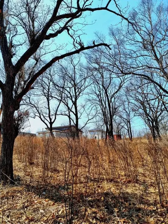 Участок в Приморский край, Находка пос. Врангель, ул. Лесная, 7 (18.53 ... - Фото 1