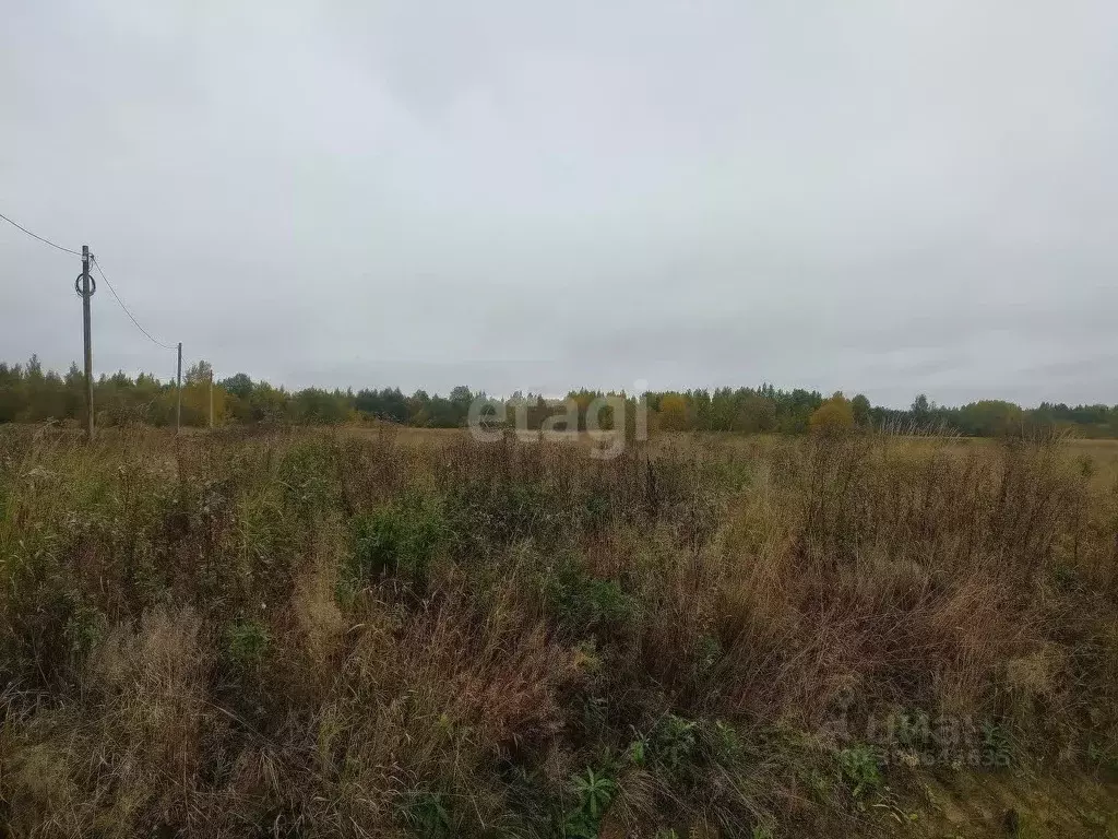 Участок в Вологодская область, Шекснинский район, д. Нифантово ... - Фото 1