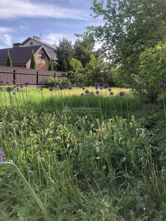 Участок в Владимирская область, Ковров ул. Мичурина, 26 (6.0 сот.) - Фото 1