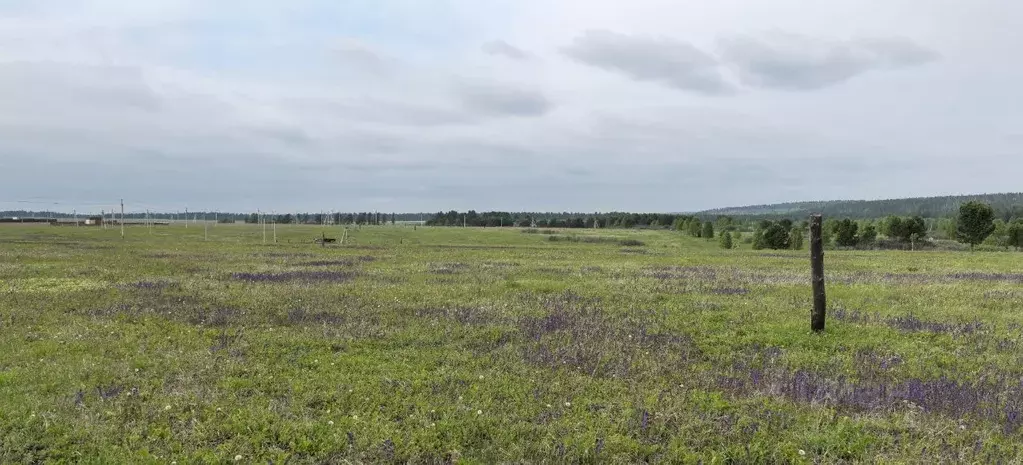 Участок в Иркутская область, Иркутский муниципальный округ, д. ... - Фото 0