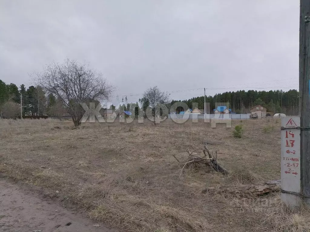 Участок в Томская область, Томский район, с. Моряковский Затон ... - Фото 0