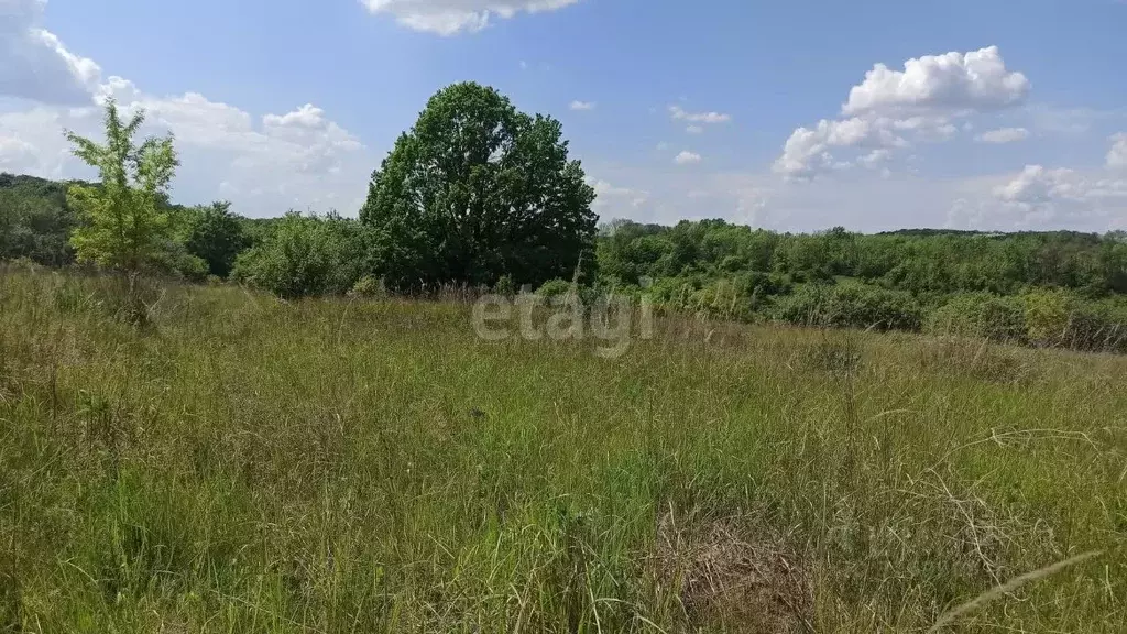 Участок в Белгородская область, Белгородский район, Беломестненское ... - Фото 1